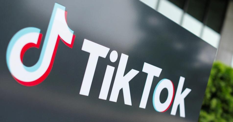 Tiktok Users Share Cross-Border Technology Work Cultural Exchange 