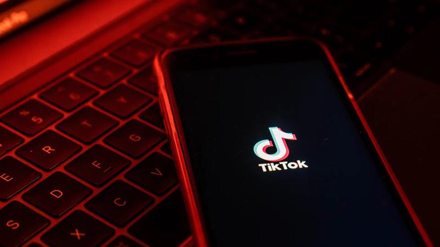 TikTok collaborates with digital brands to create popular review videos 