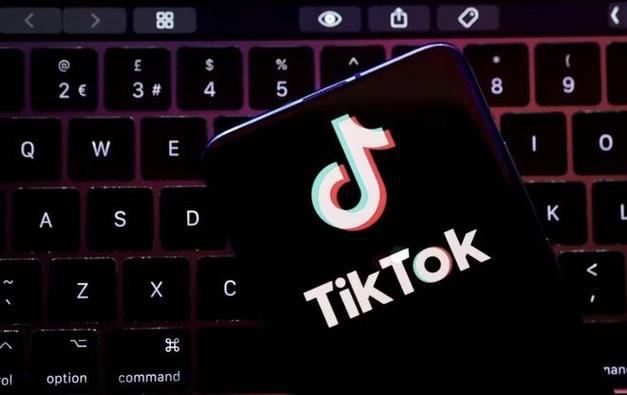 TikTok Launches A Feature For Tree Identification