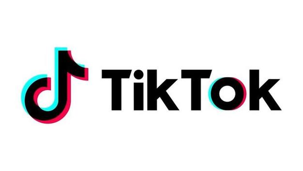 Why TikTok Is a Major Platform for Book Lovers 